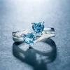 The Fortitude Ring