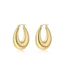 Luminous Aura Earrings